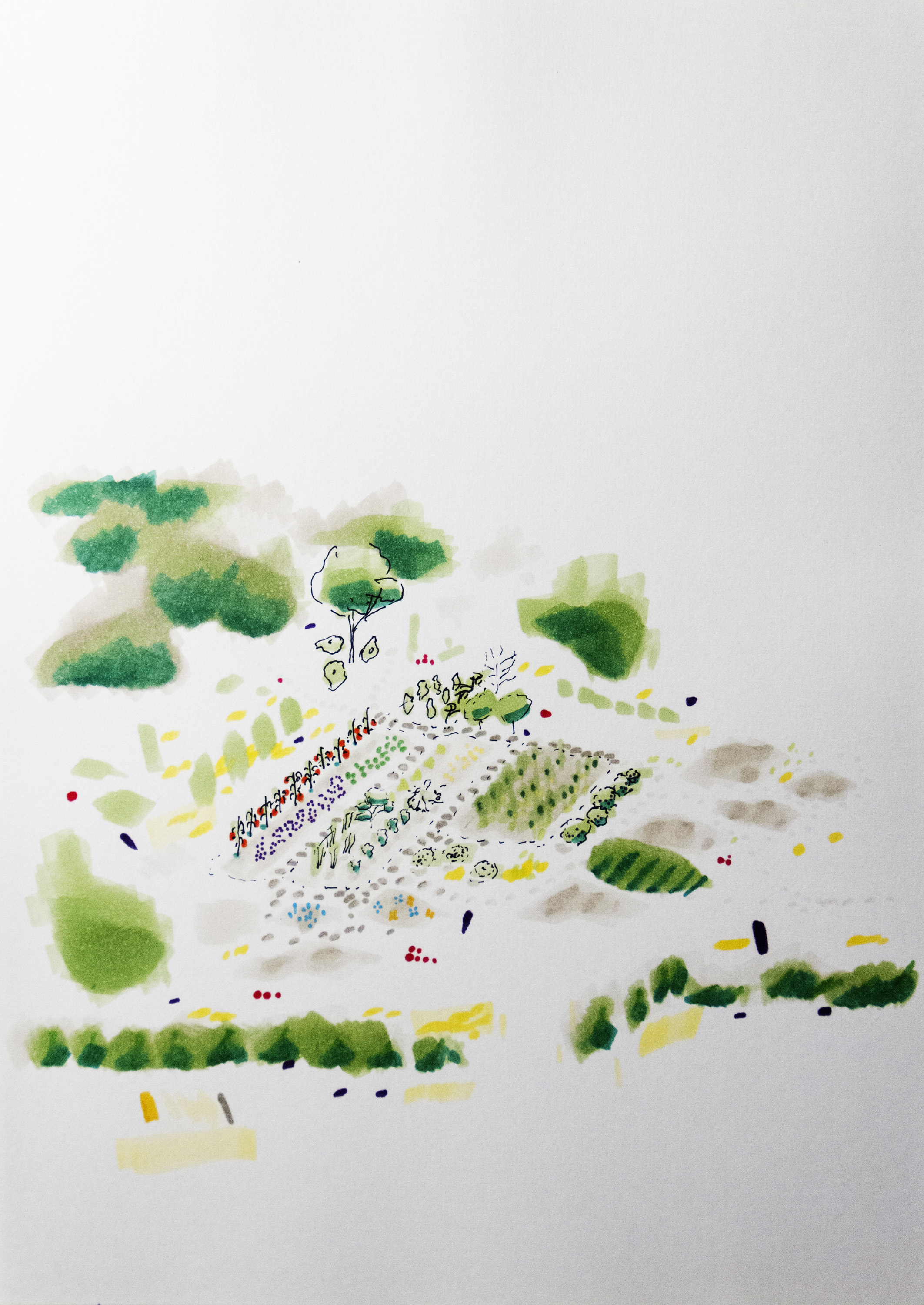 Horta e agrofloresta de X